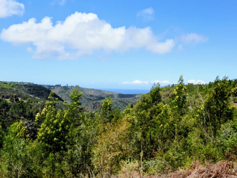 0 Bedroom Property for Sale in Hoekwil Western Cape